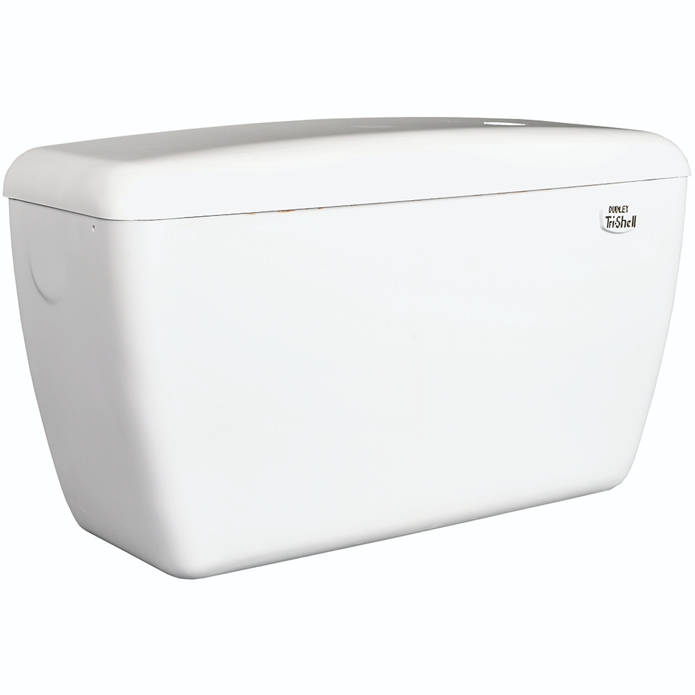 Thomas Dudley Trishell exposed auto urinal cistern The Sanitaryware