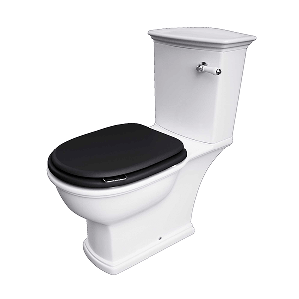 RAKWTNSEAT504_RAK Ceramics_Soft Close Seat and Cover